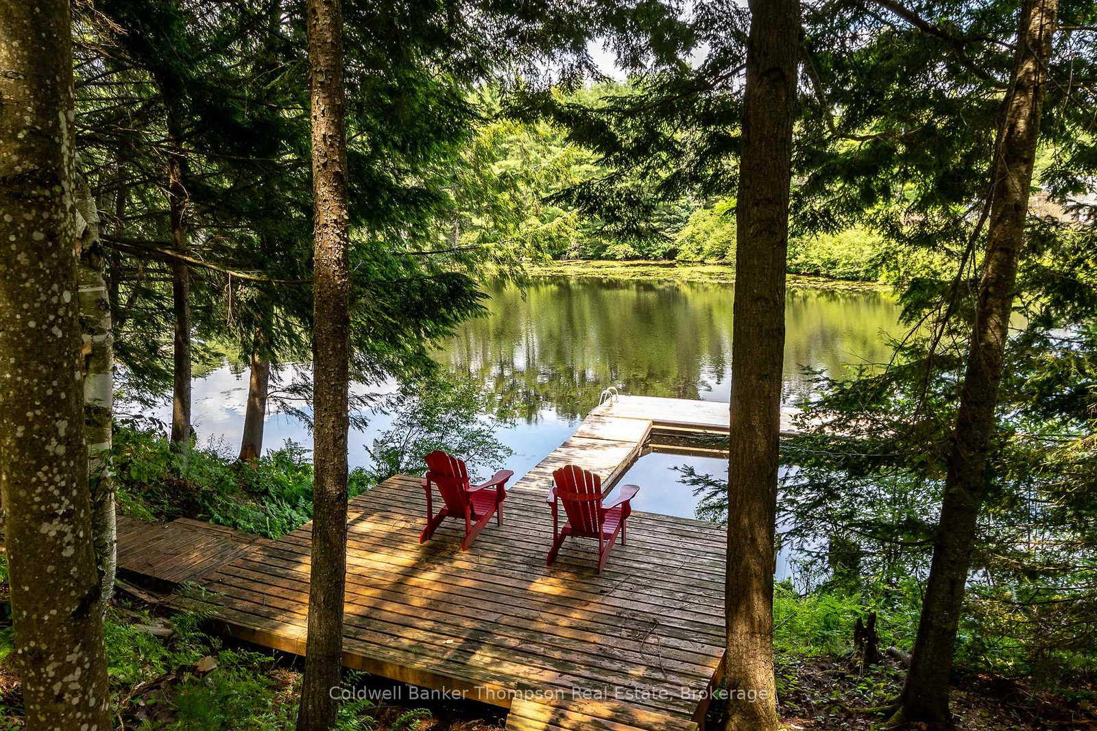 48-shellwood-shores-avenue-huntsville-ontario-x13830490