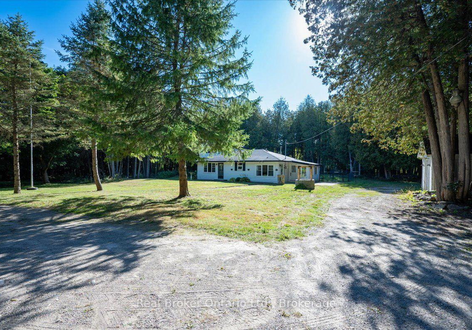 36-ash-street-guelpheramosa-ontario-x13831350