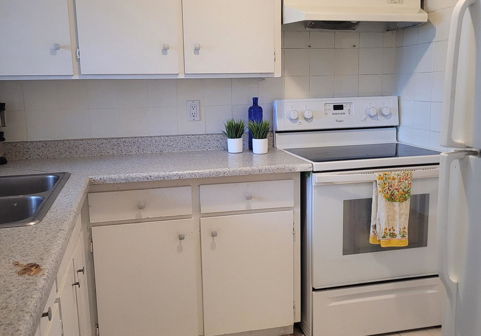 415-morgan-avenue-kitchener-ontario-x13835614