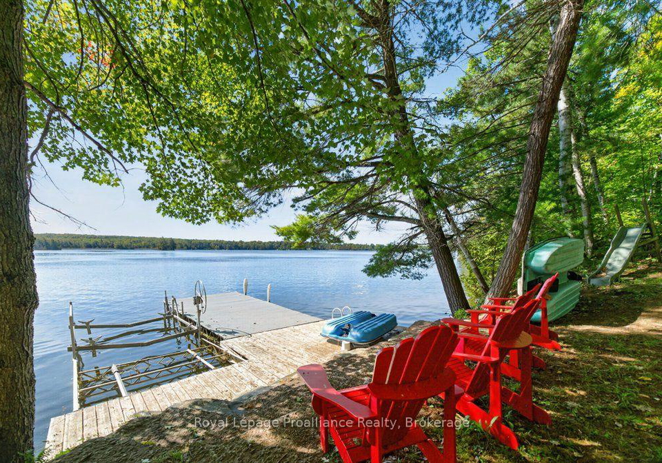 1239-chimney-point-lane-north-frontenac-ontario-x13836804