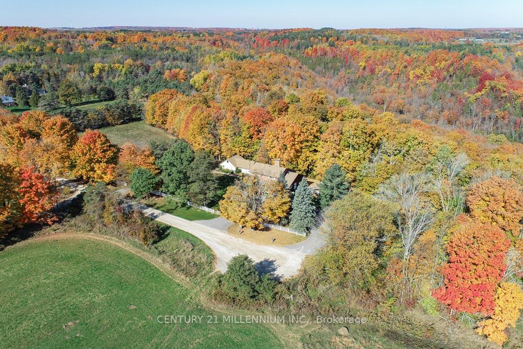 287199-10-sideroad-mono-ontario-x13842142