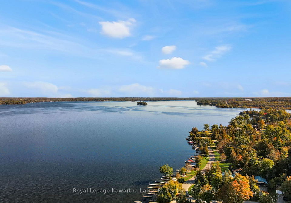 832-cedar-glen-road-kawartha-lakes-ontario-x13842922