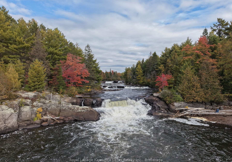 1810-boldts-lane-minden-hills-ontario-x13842972