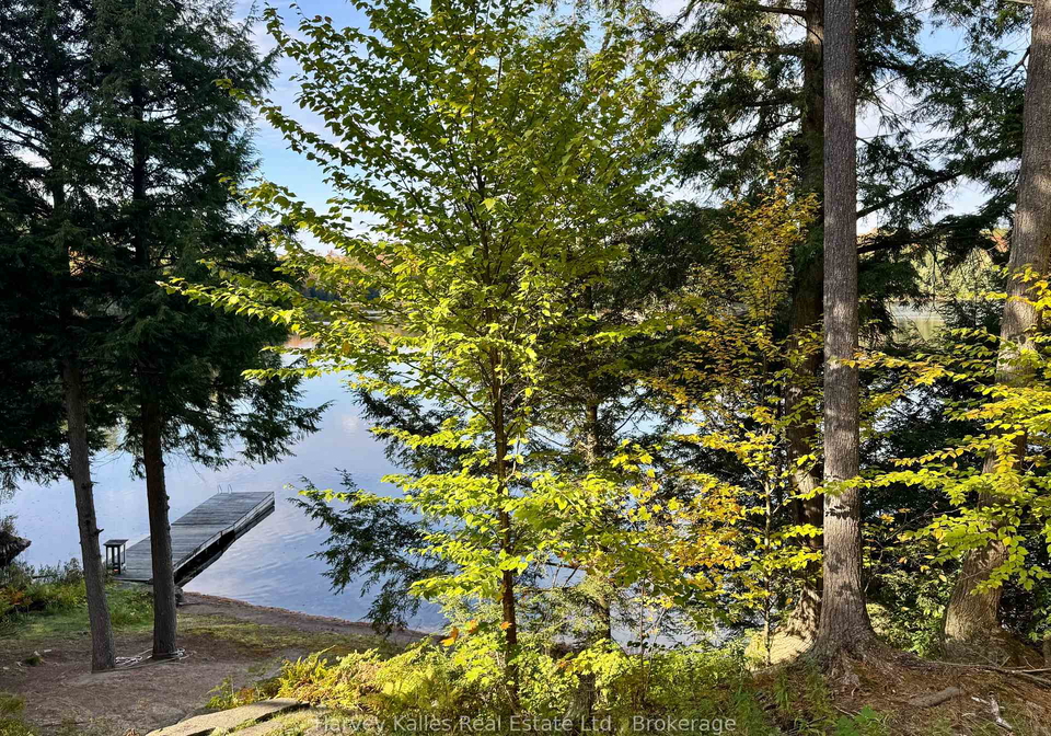 7-baby-lake-road-seguin-ontario-x13843174