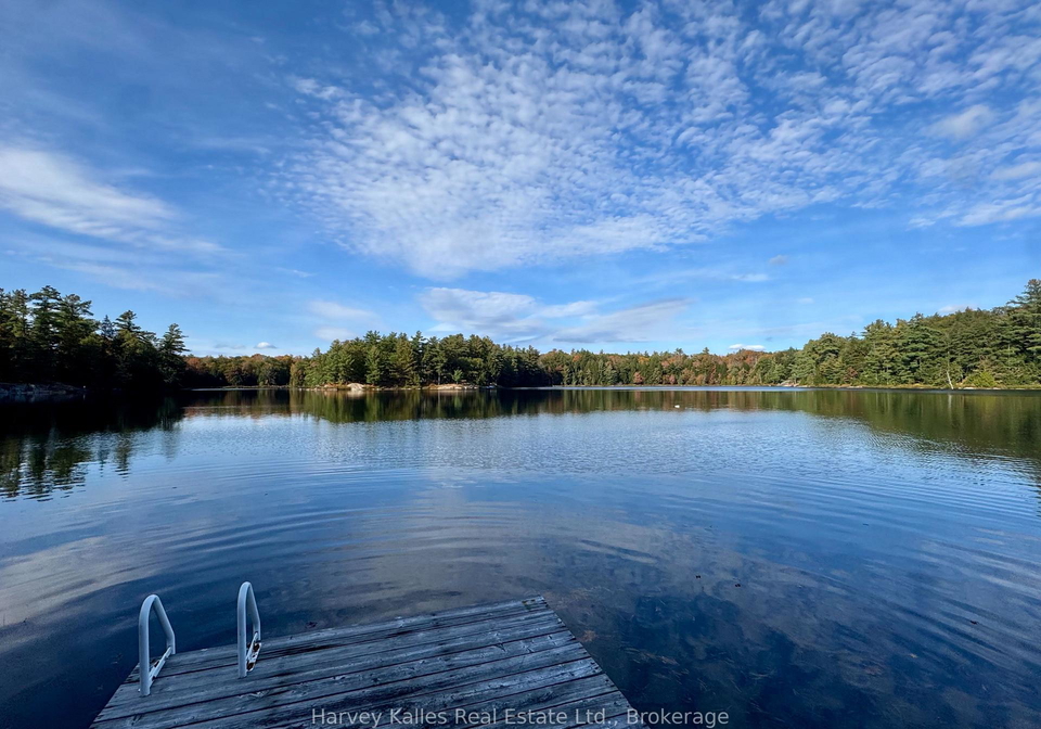 7-baby-lake-road-seguin-ontario-x13843174