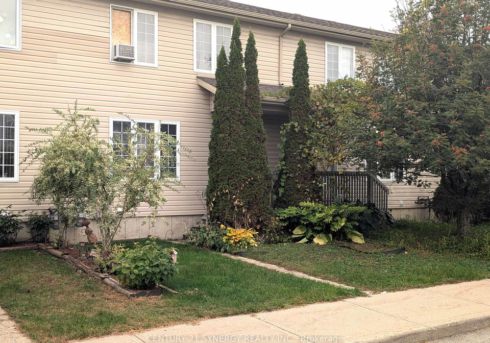 60-johnston-street-carleton-place-ontario-x13845136