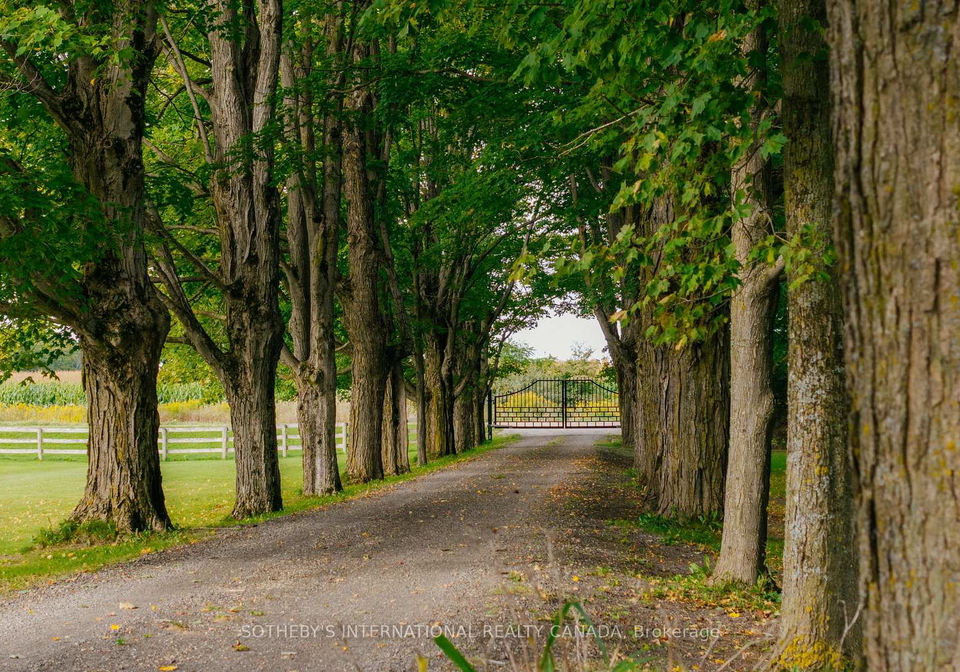 435201-4th-line-amaranth-ontario-x13845858