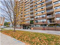 1950-main-street-w-hamilton-ontario-x13848086