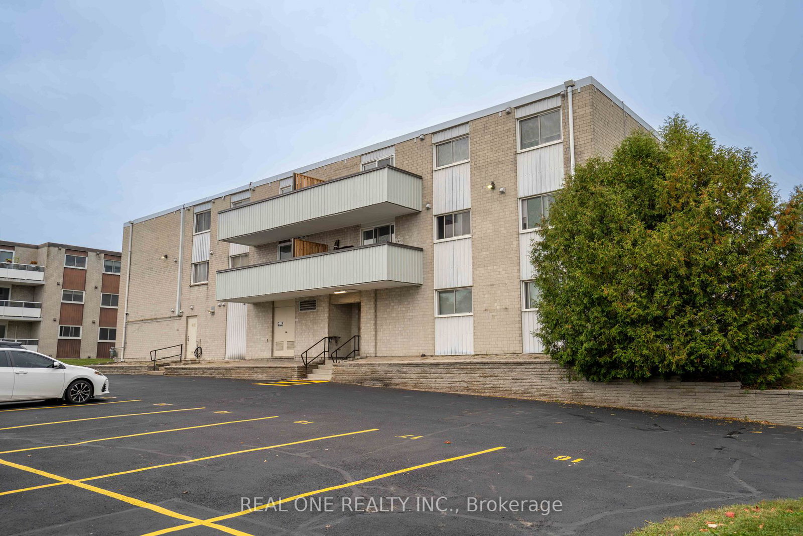 6-walton-avenue-kitchener-ontario-x13849592