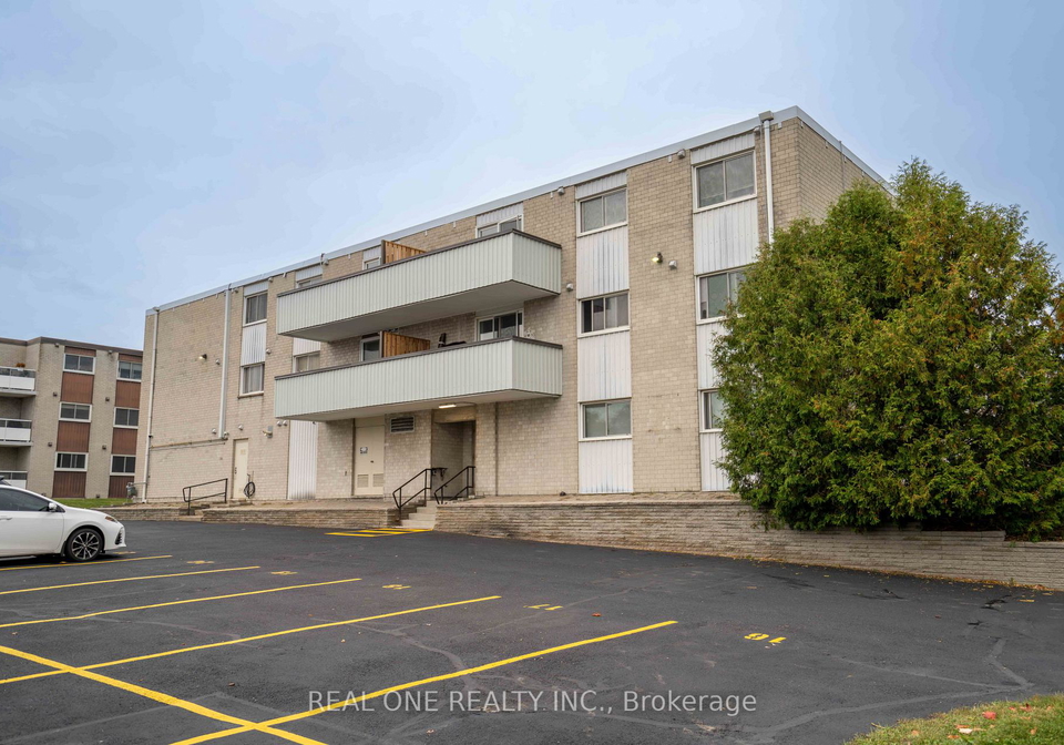 6-walton-avenue-kitchener-ontario-x13849592