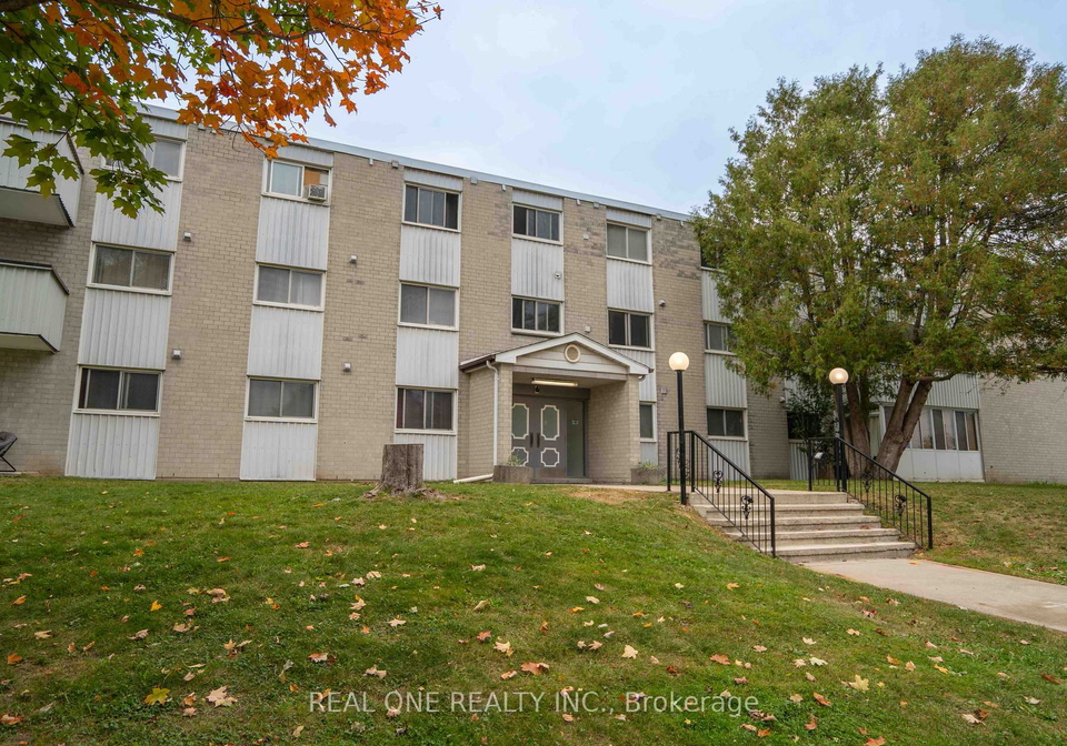 6-walton-avenue-kitchener-ontario-x13849592