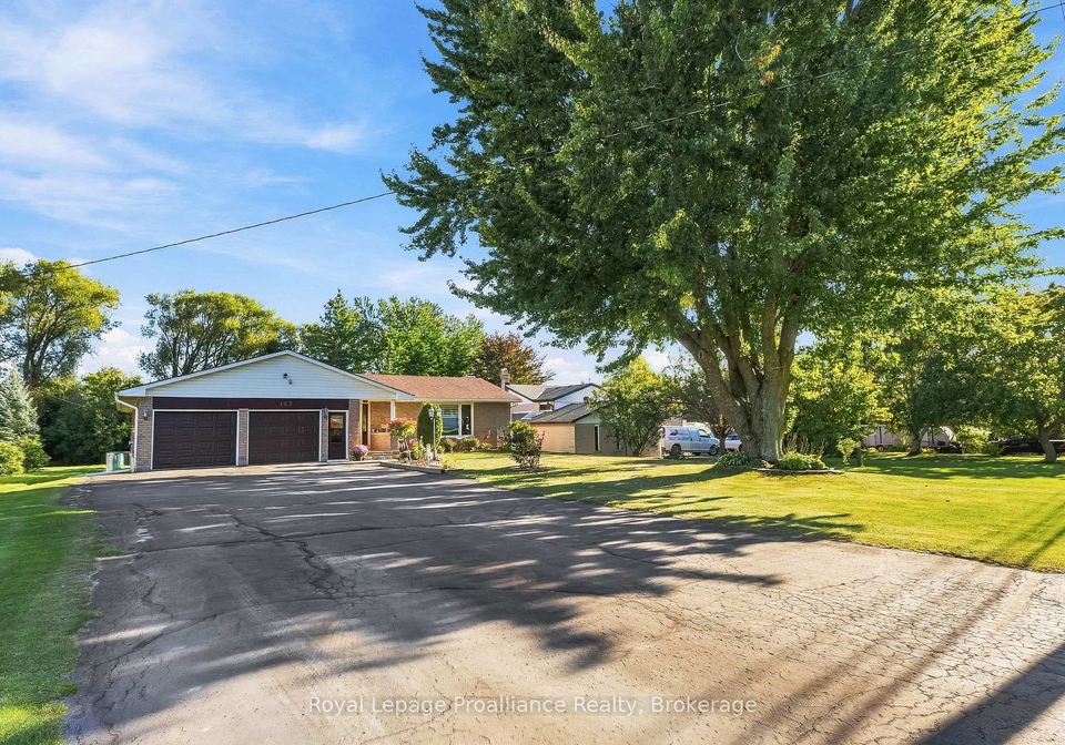 167-dundas-street-brighton-ontario-x13849678