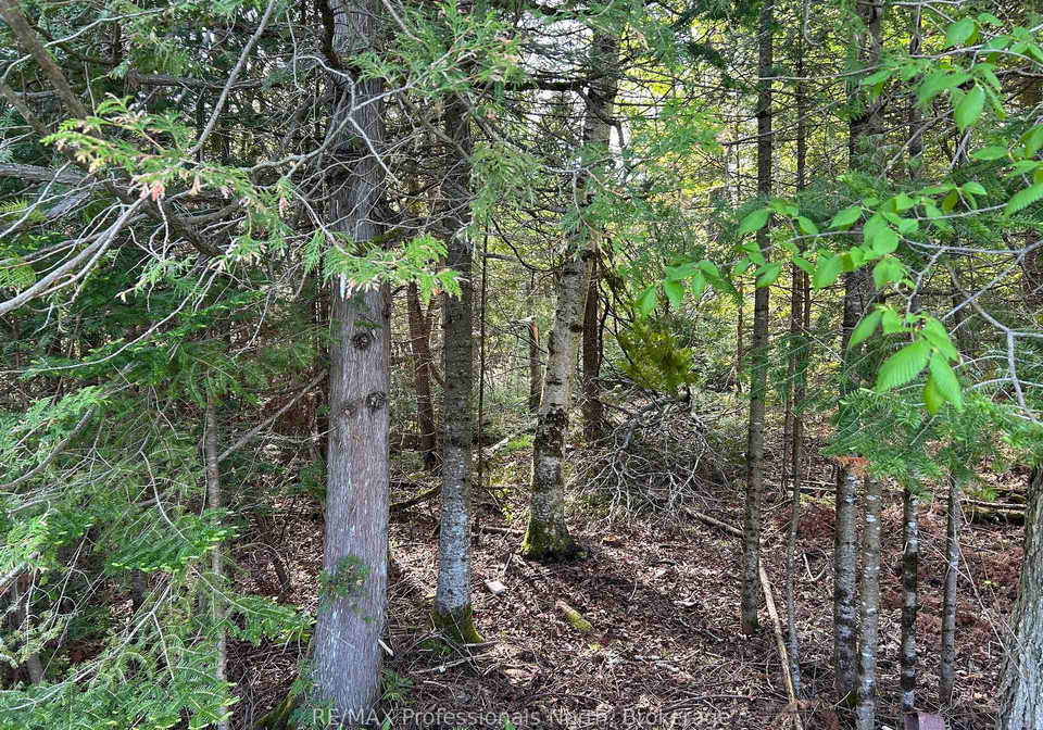 810-4th-line-douro-dummer-ontario-x13849766