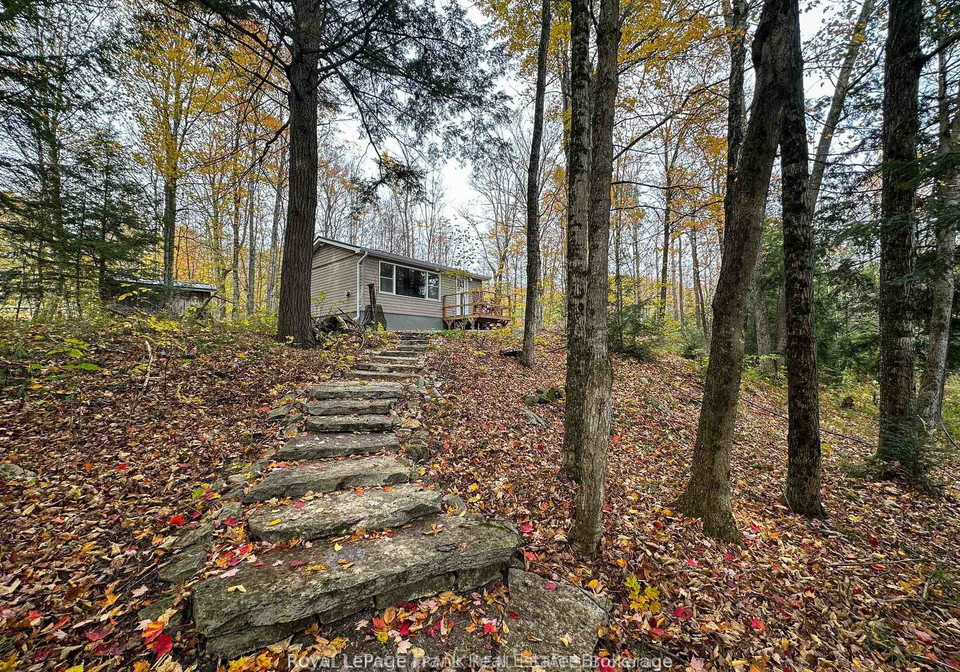 292-edwina-drive-trent-lakes-ontario-x13851804