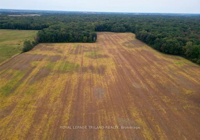 975-concession-drive-southwest-middlesex-ontario-x13851958