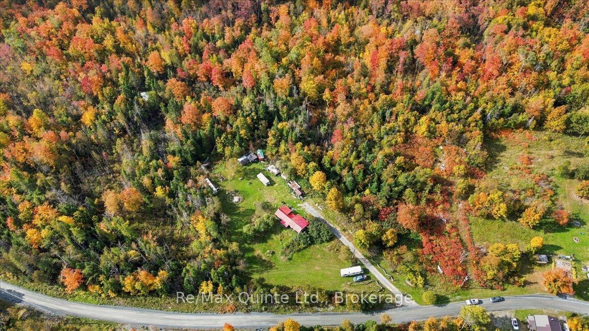 984-cleveland-road-tudor-cashel-ontario-x13852026