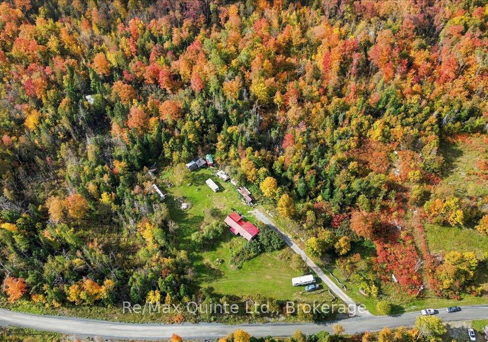 984-cleveland-road-tudor-cashel-ontario-x13852026