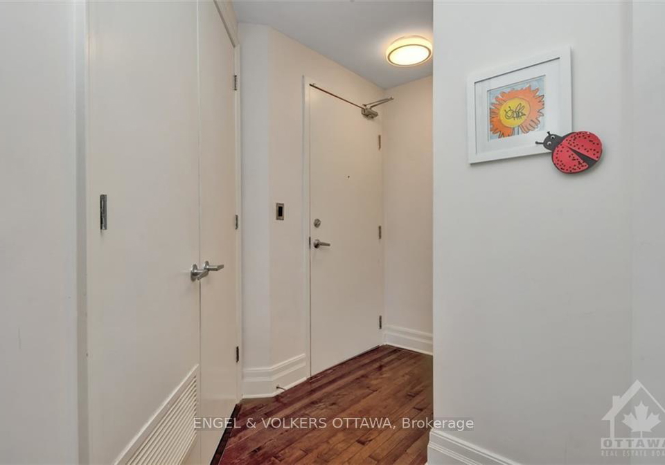 457-mcleod-street-ottawa-ontario-x13853376