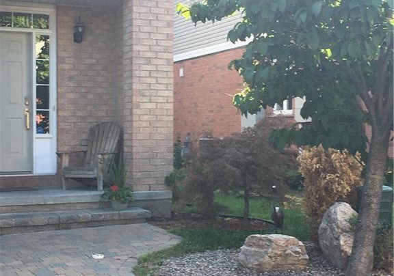 112-gatespark-private-private-e-kanata-ontario-x13856494