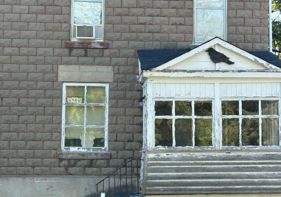 51-albert-street-carleton-place-ontario-x13857314