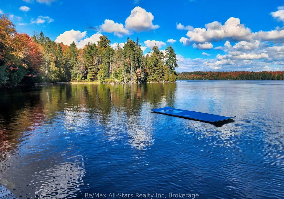 14-60-highway-e-south-algonquin-ontario-x13858192