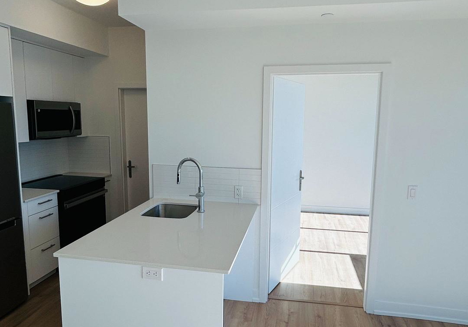 30-francis-street-s-kitchener-ontario-x13859032