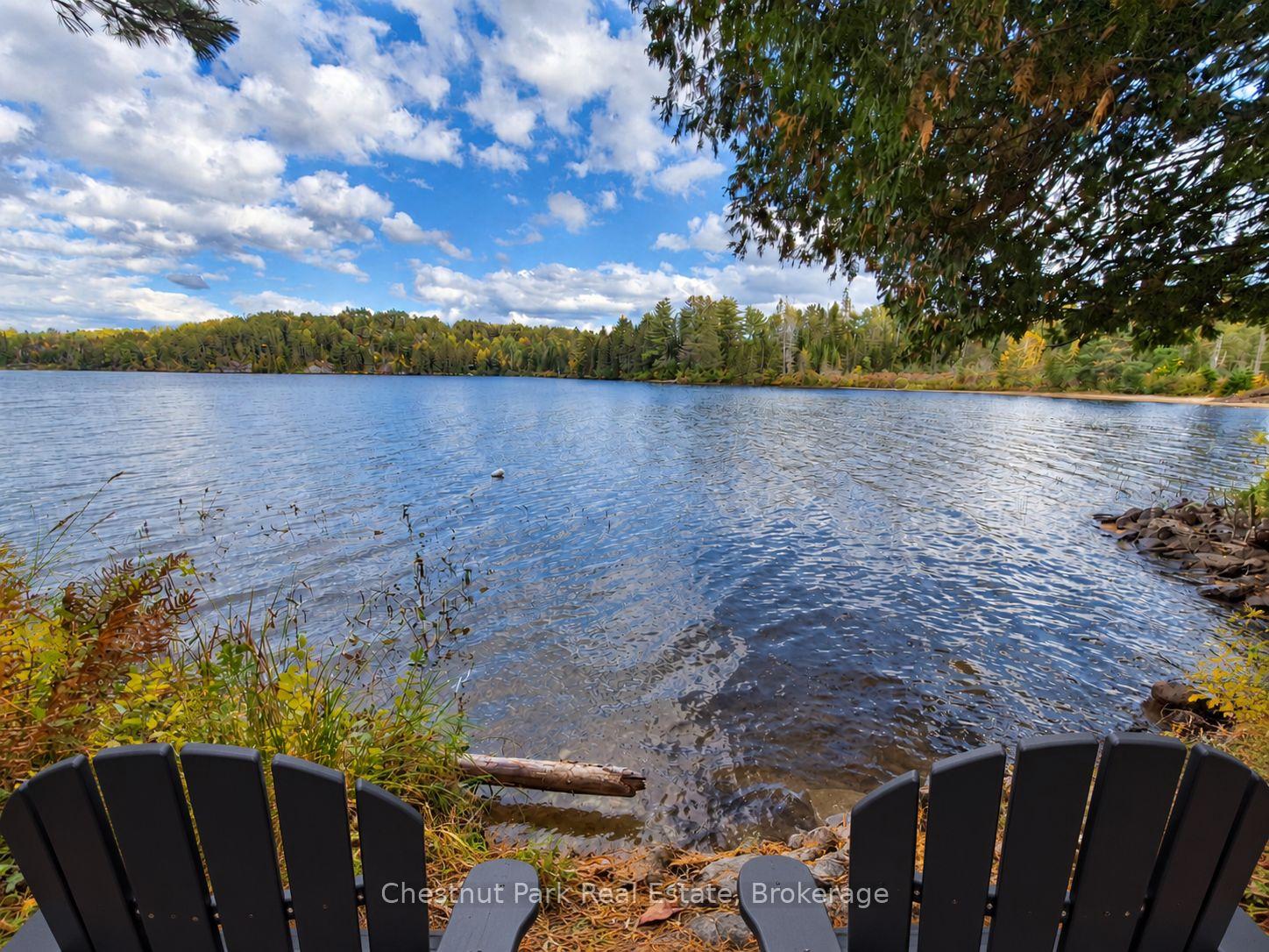 0-rock-lake-road-algonquin-highlands-ontario-x13859338