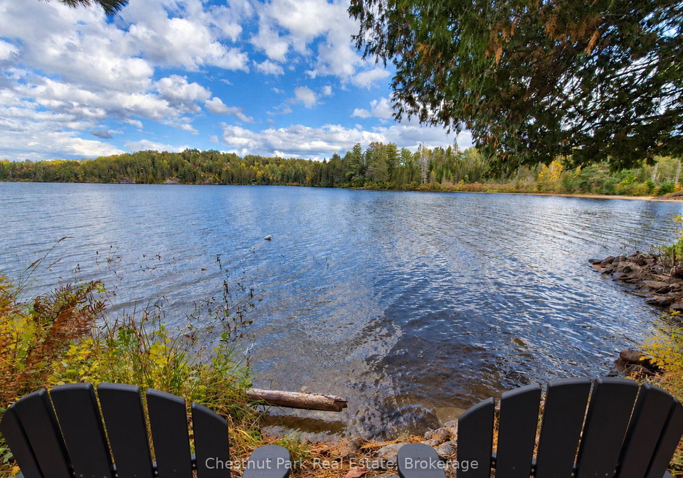 0-rock-lake-road-algonquin-highlands-ontario-x13859338