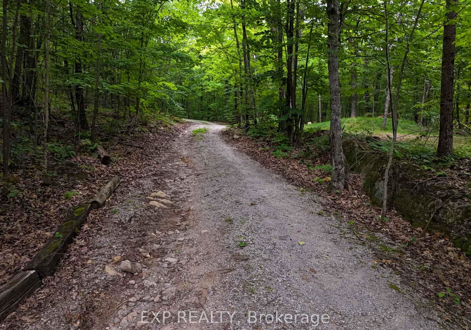 273-s-fire-route-330-route-trent-lakes-ontario-x13861768