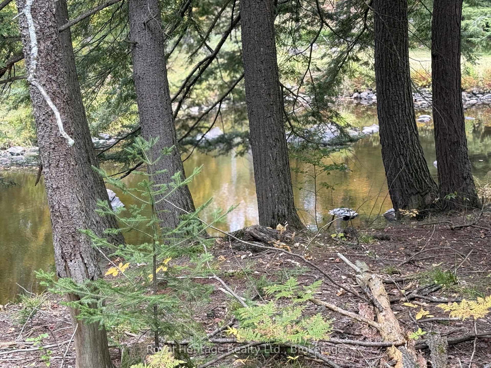 7-fire-route-92-route-trent-lakes-ontario-x13863012