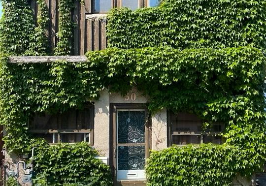 30-jones-street-hamilton-ontario-x8151812