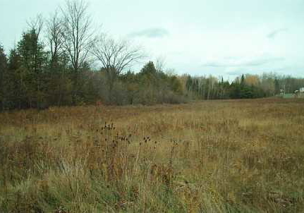 46-country-lane-barrie-ontario-x820482