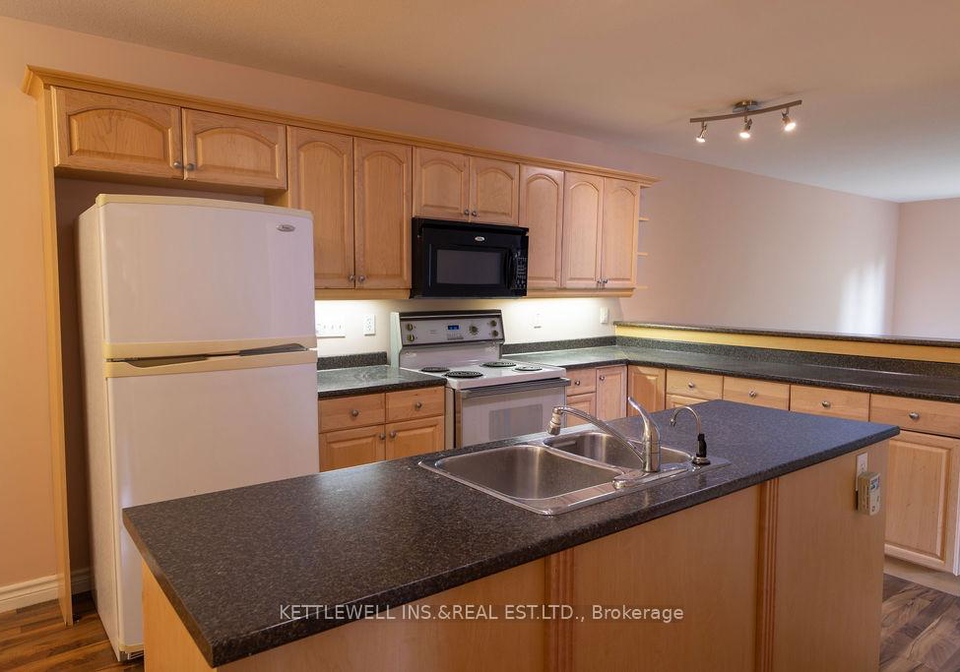 163-maitland-street-strathroy-caradoc-ontario-x9264109