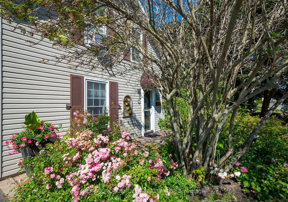 249-margaret-street-cobourg-ontario-x9311921