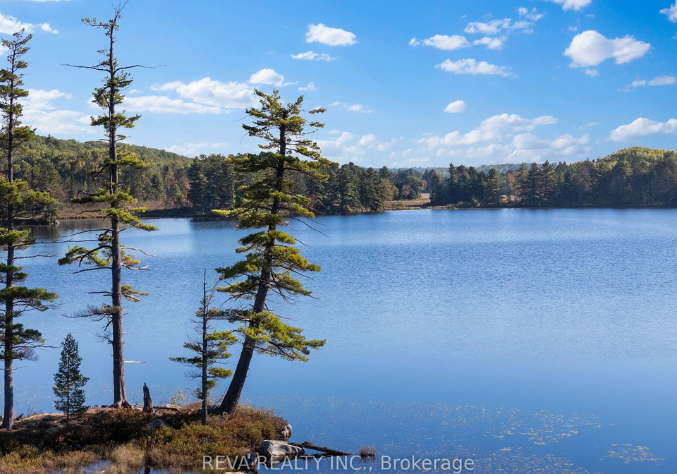 368-addington-road-addington-highlands-ontario-x9382740
